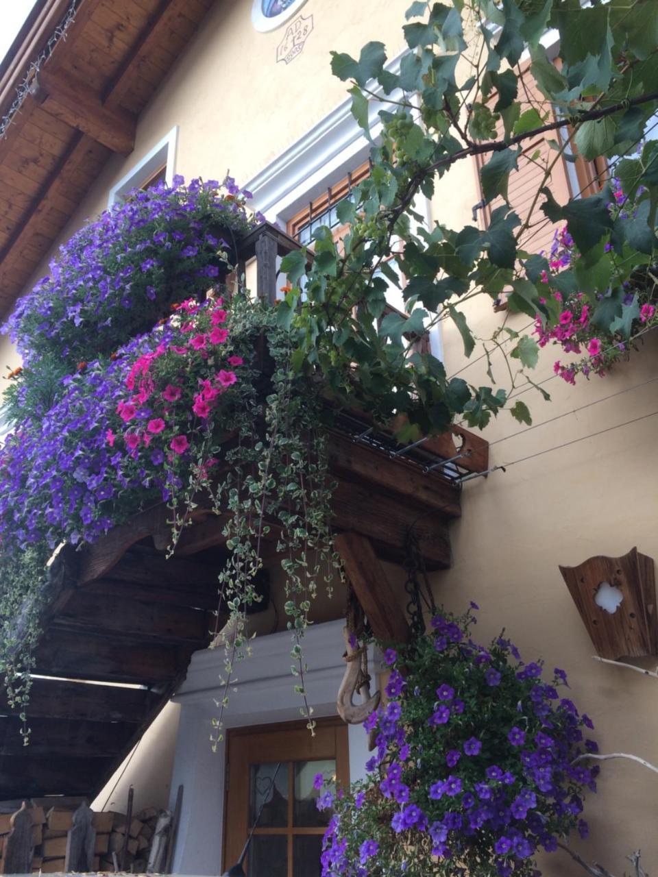 Hotel Garni Salvanel Cavalese Exterior photo